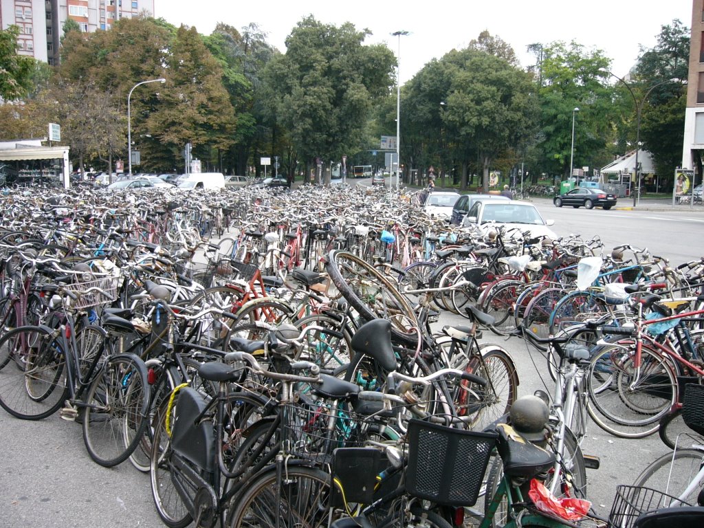 Bicicletes