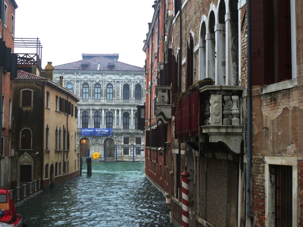 VENEZIA-CA PESARO** contest december**