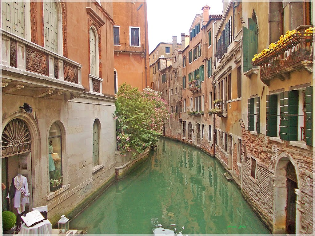 Unforgettable day in the ever romantic city, Venice 2 / Venedik