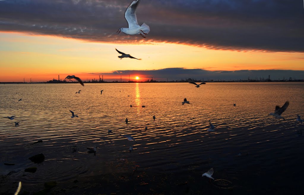 a pleasant and lively sunset in Tronchetto :)