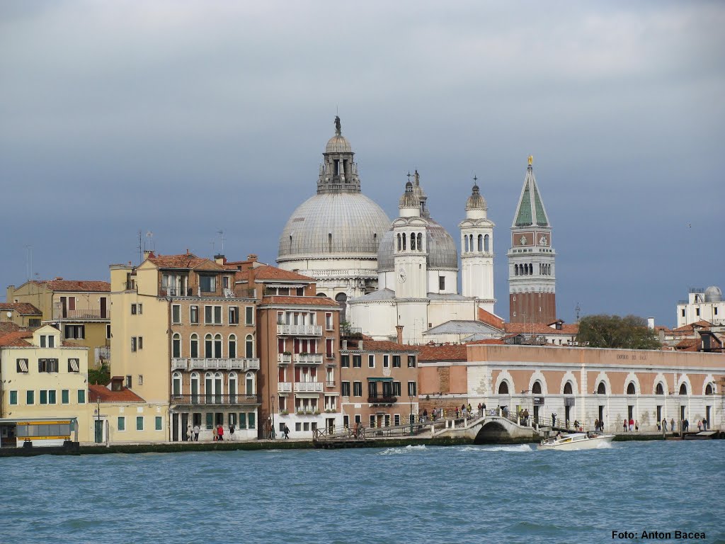 Santa Maria della Salute, Venice, Italy, 2012 (Foto: Anton Bacea)