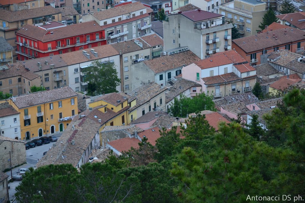 Campobasso