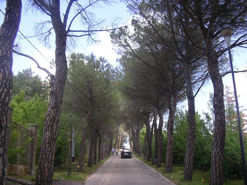 Viale della Rimembranza