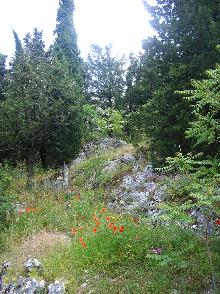 Affioramenti di calcare presso Colle Monforte