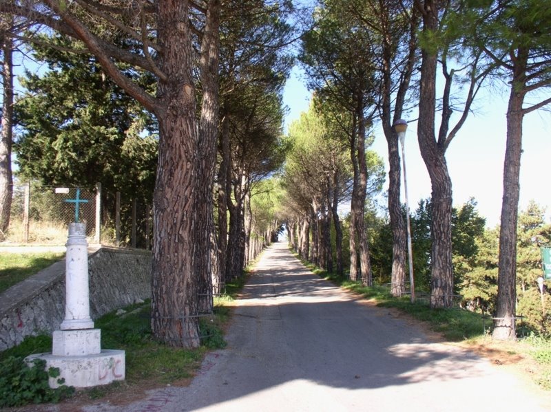 Viale della Rimembranza