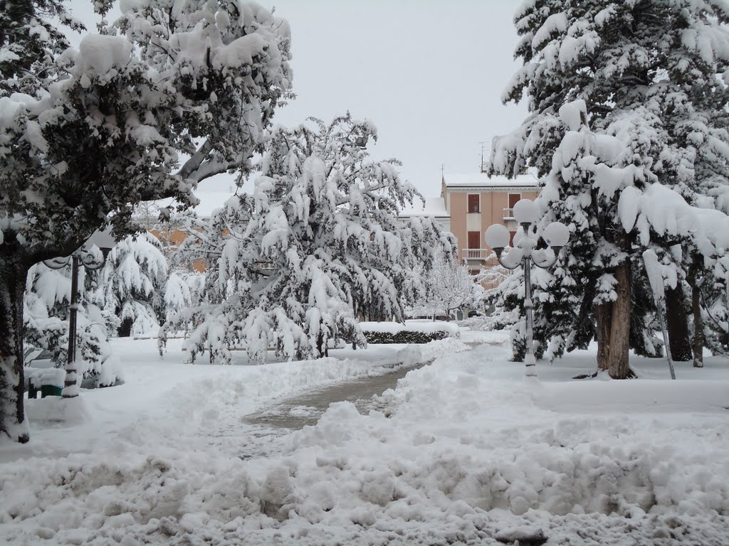 Nevicata del 22-01-2011