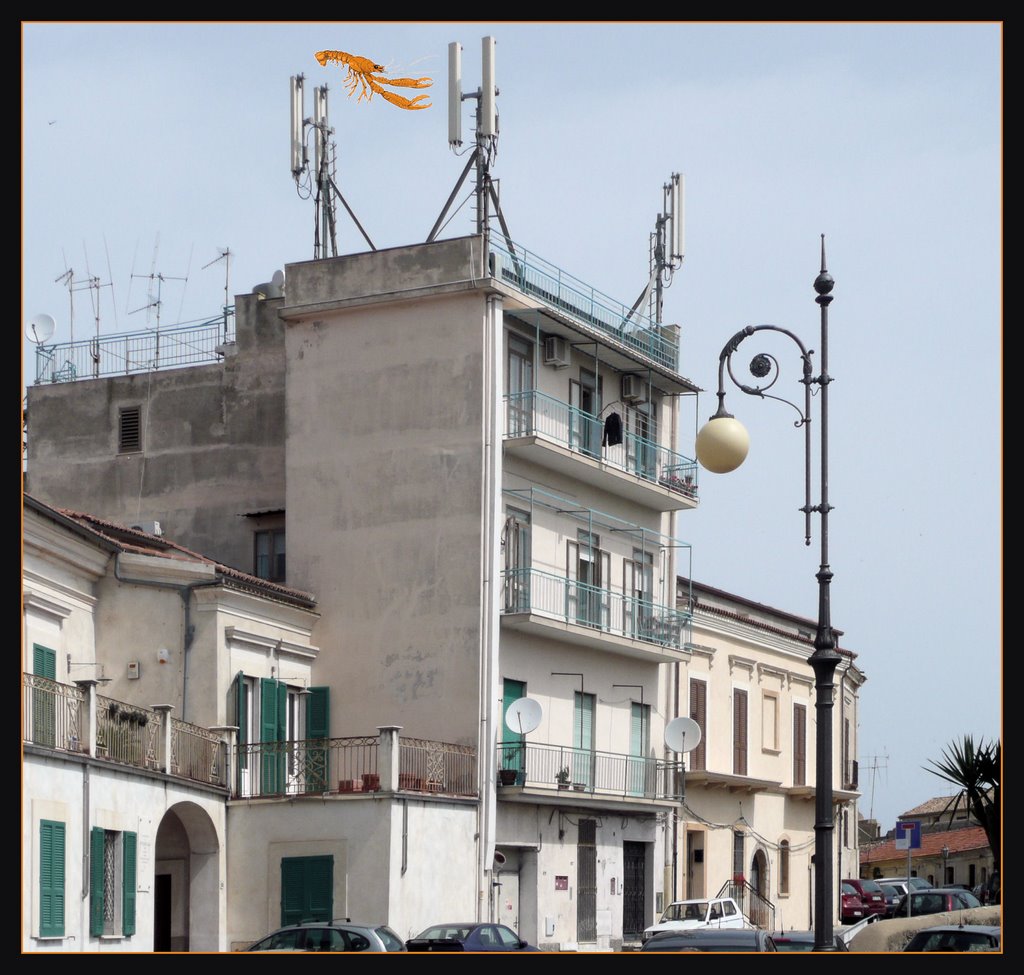 Onde : non cè scampo ?