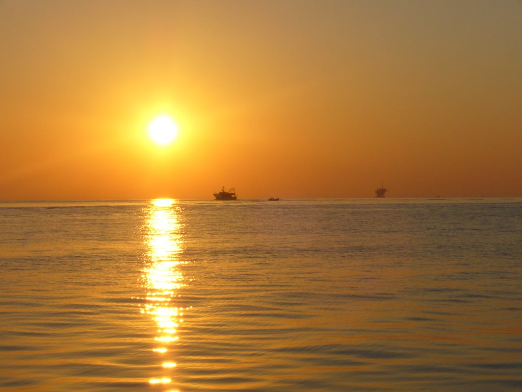 Alba