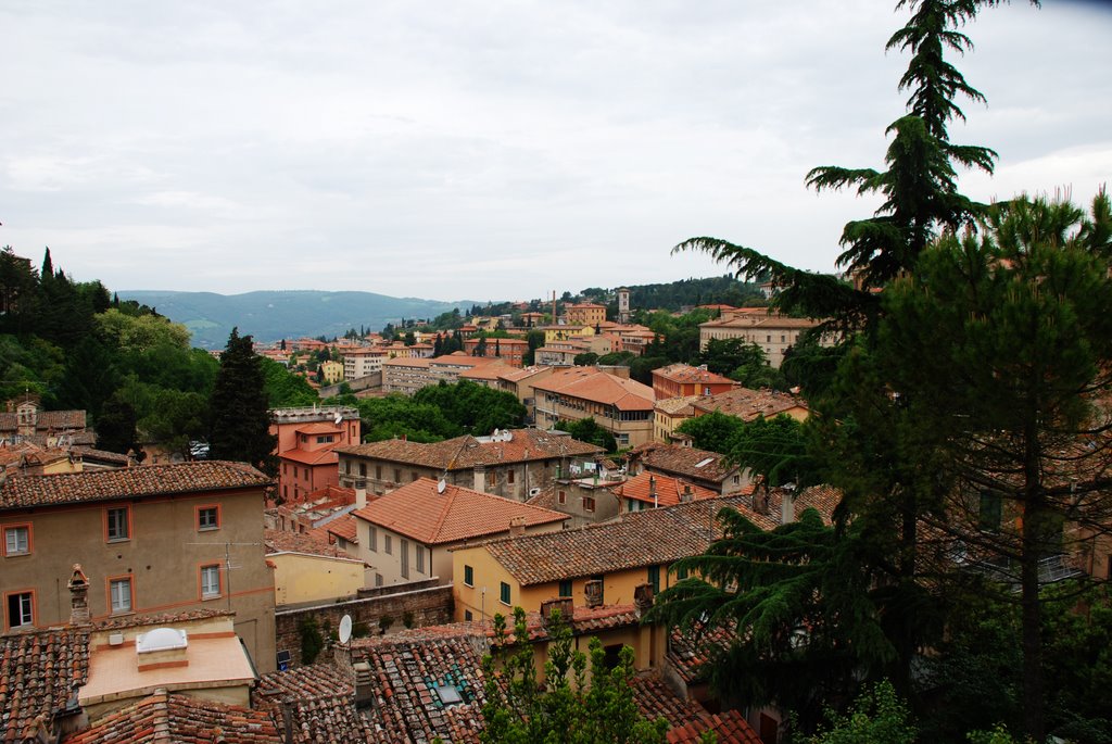 Mediterrán tetők