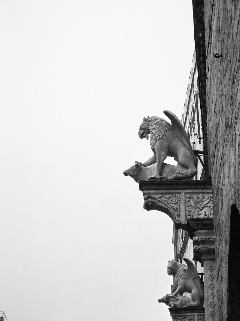 Perugia