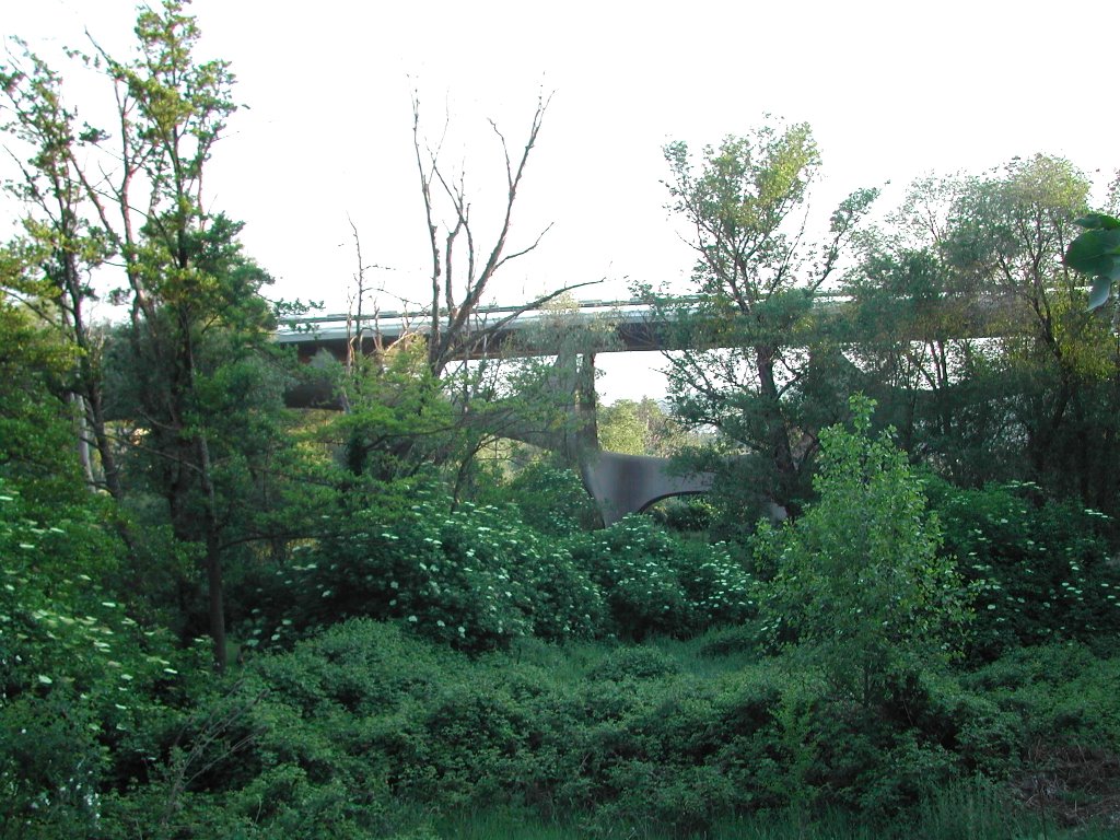 Potenza, ponte Musmeci (Musmeci bridge)