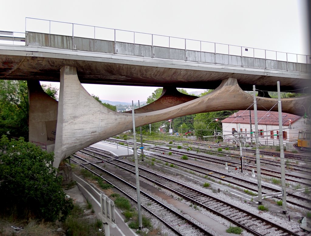 Potenza, ponte Musmeci