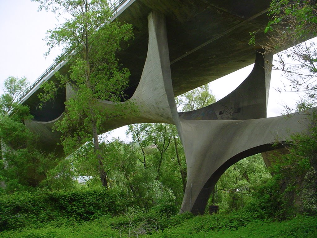 Ponte Musmeci
