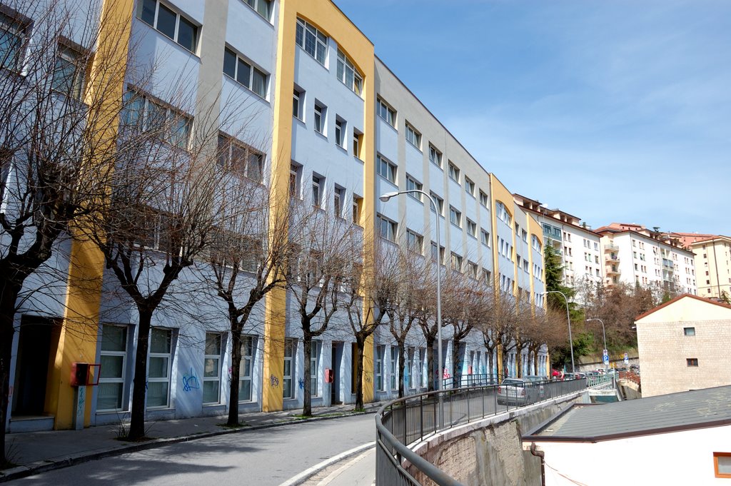 liceo classico (grammar school)