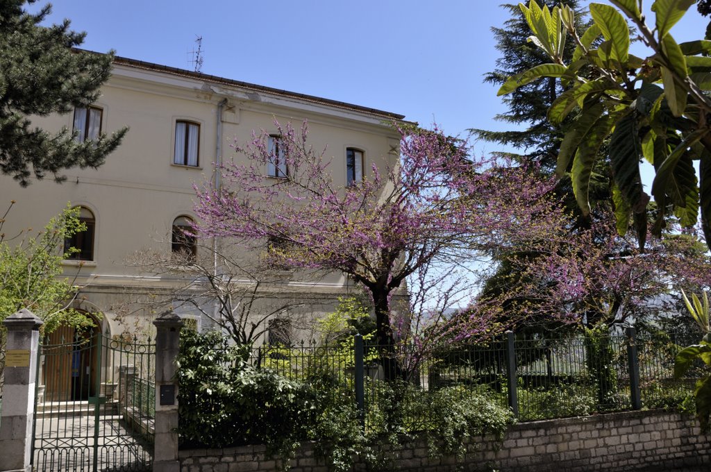 Potenza, ex ospizio