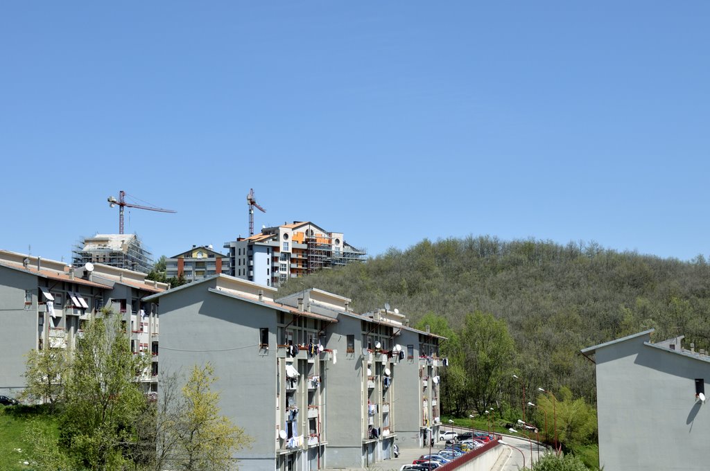 bosco urbano