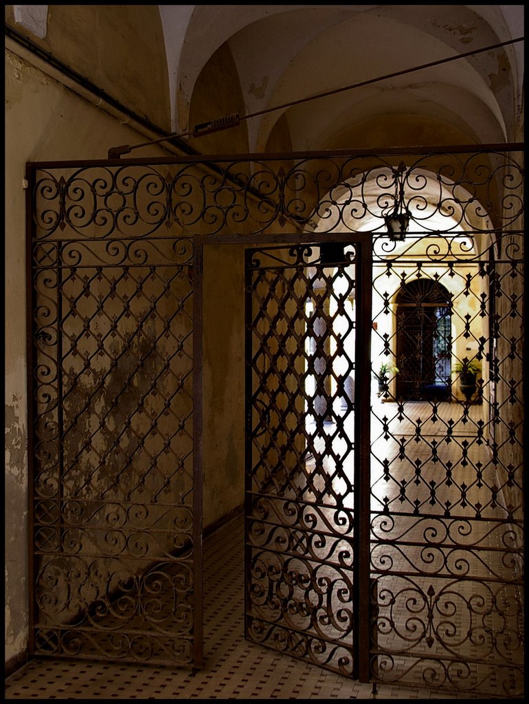 Cec docet : Piacenza da cortile