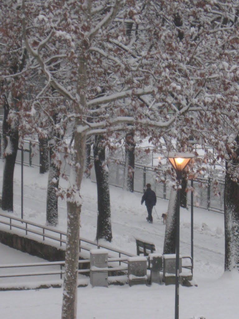 Piacenza
