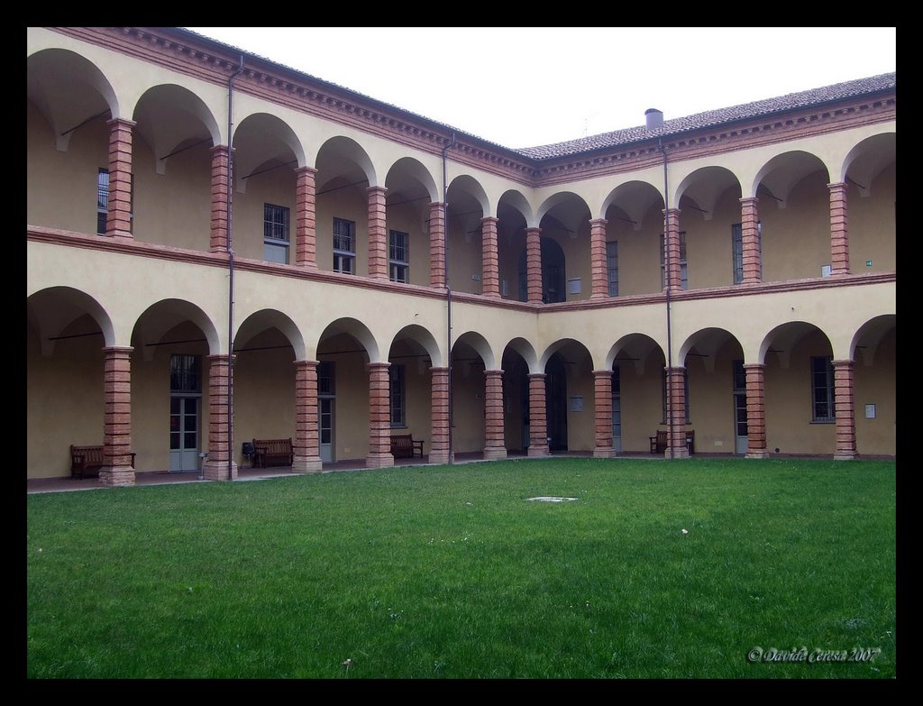 Politecnico