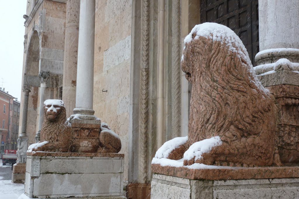 sguardi