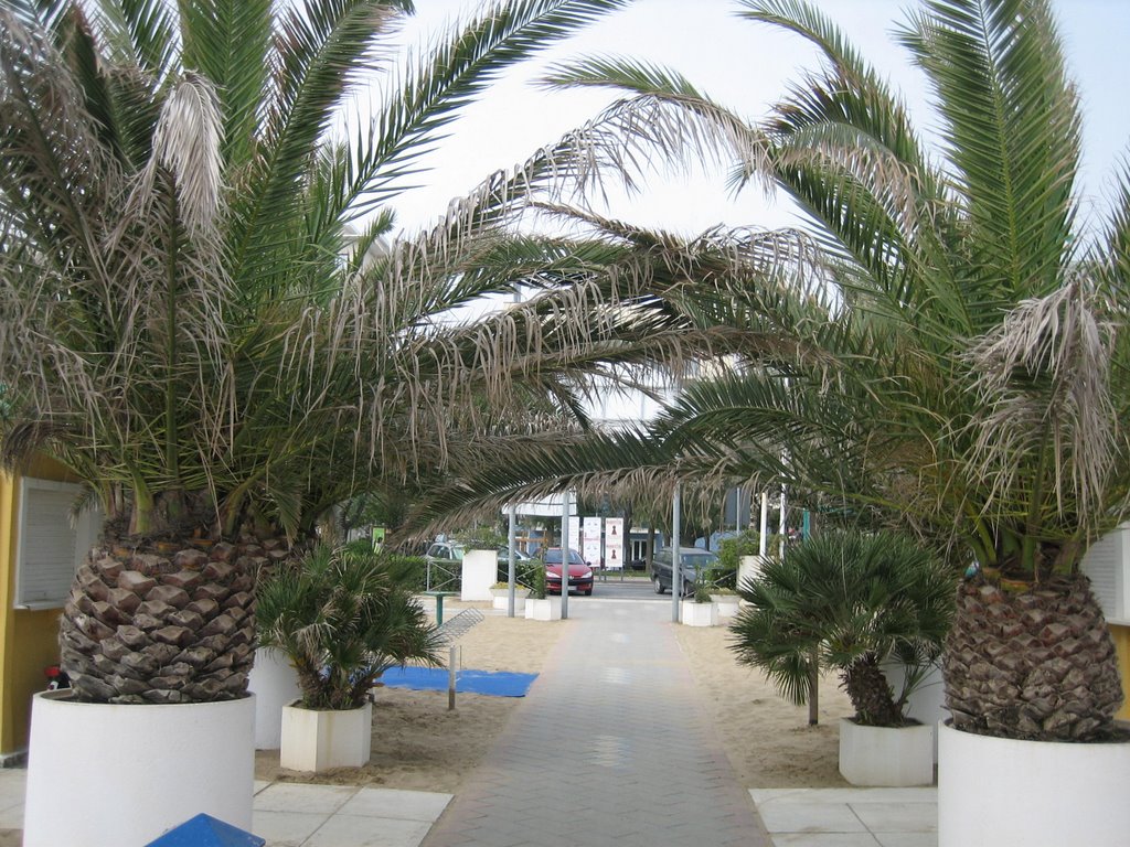 Rimini 2007