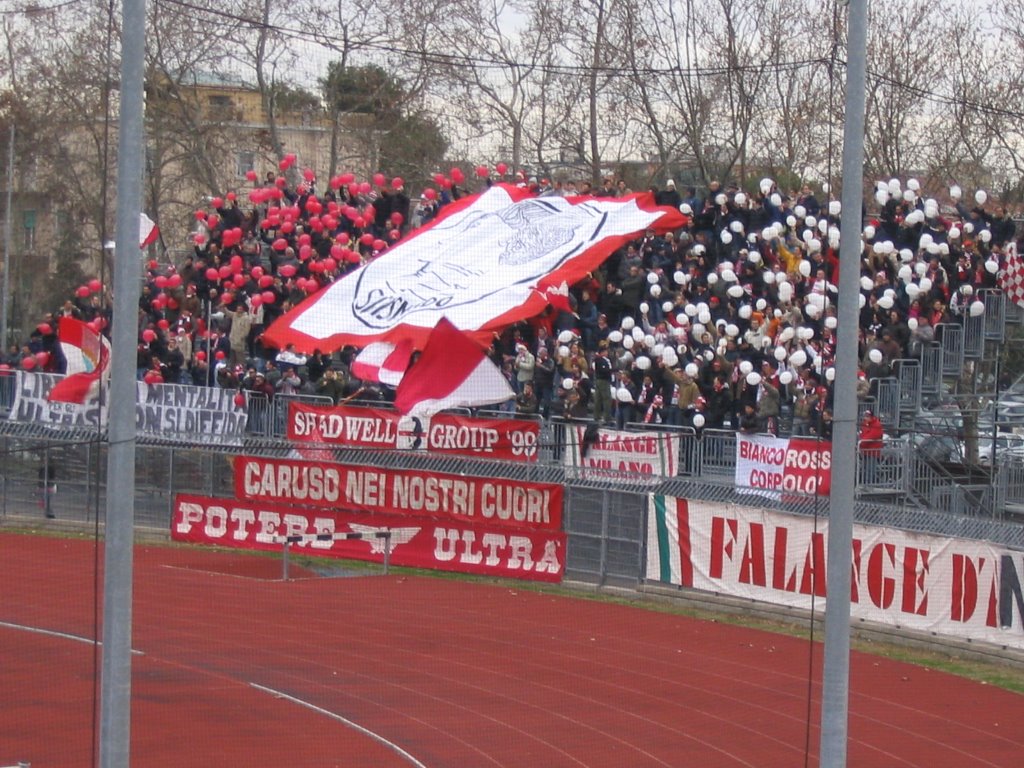 Stadio, Forza Rimini