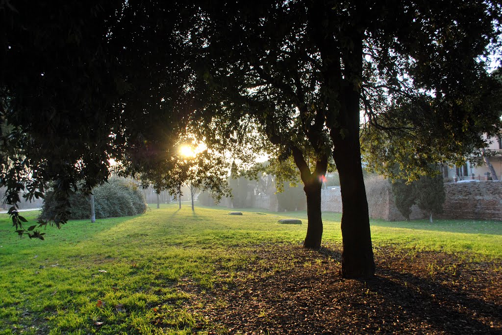 Controluce al parco