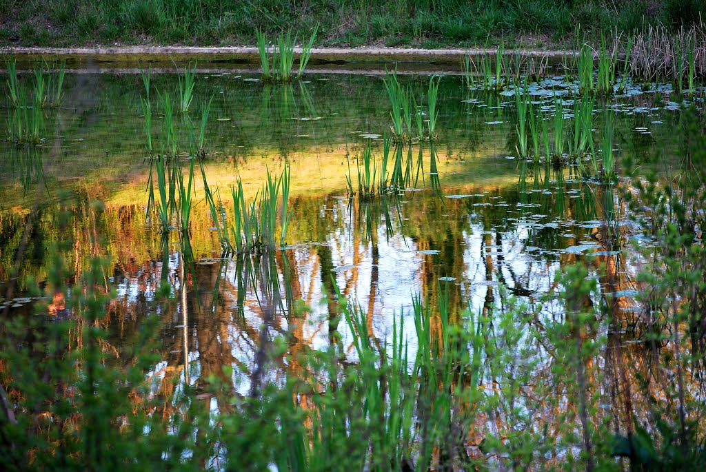 Rimini Riflessi sul Lago