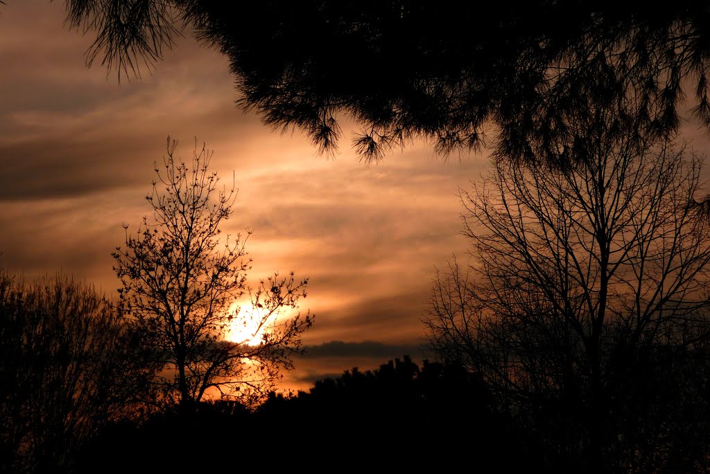 Misteriosa intimità ... al calar della sera
