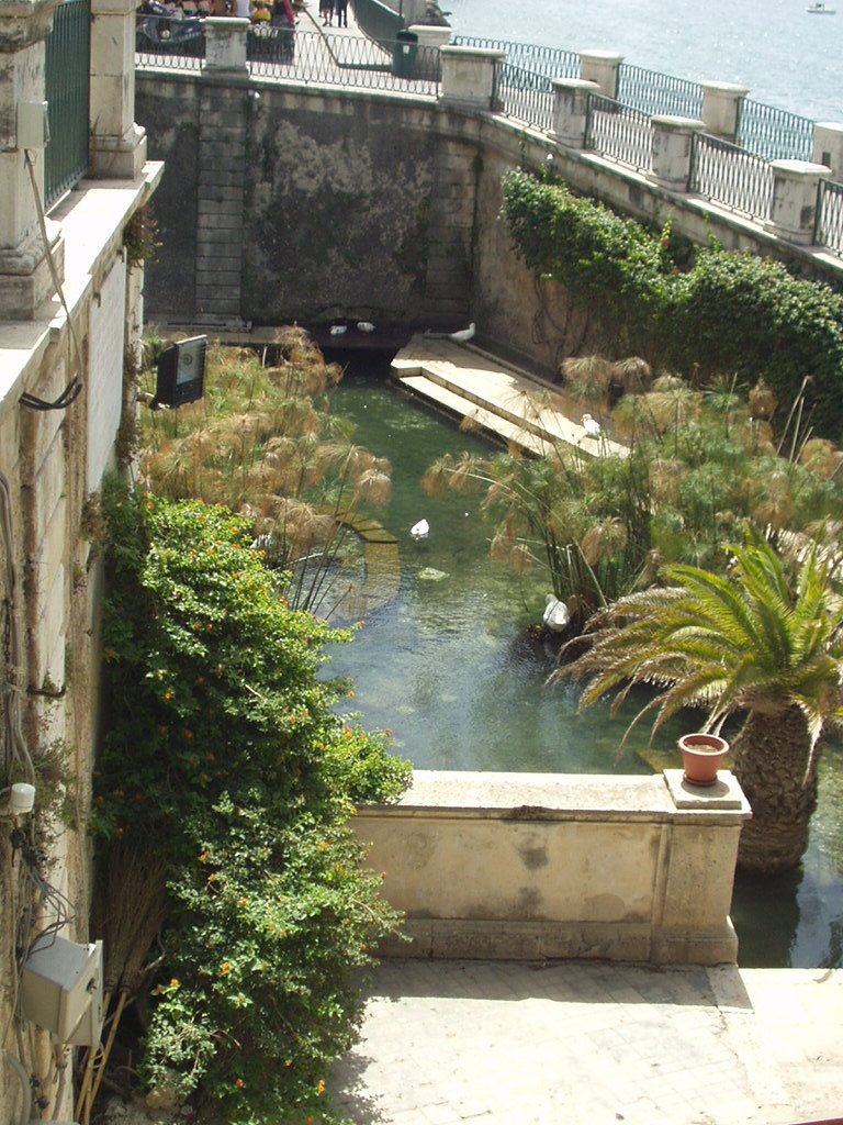 Ortigia Sicely