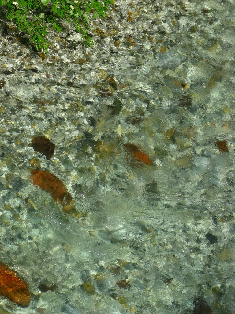 Klares, kaltes Wasser des Torrente Slizza (1)