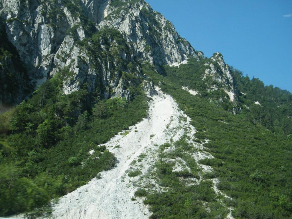 TARVISIO
