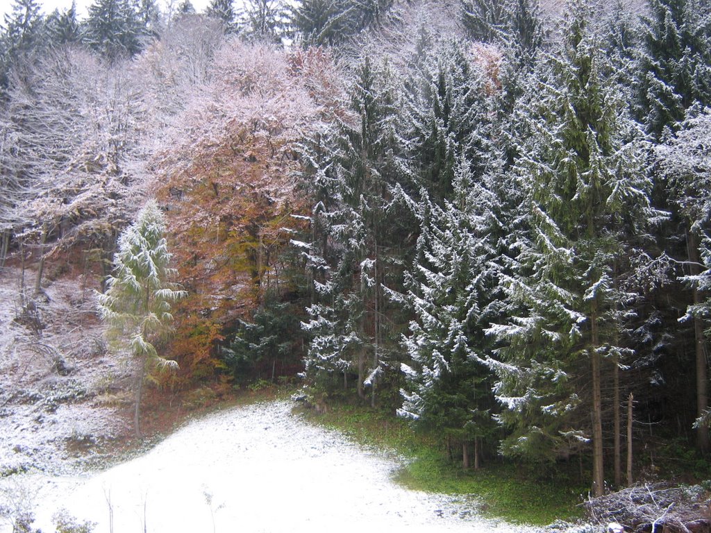 Tarvisio, 22.10.07