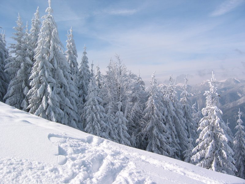 Tarvisio