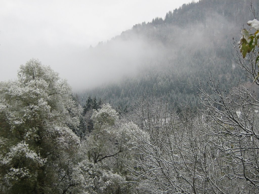 Wintereinbruch in Tarvisio, 22.10.07