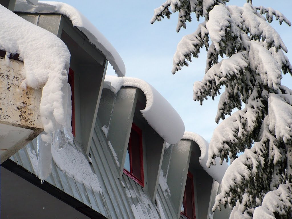Januári hangulat, atmosphere in January