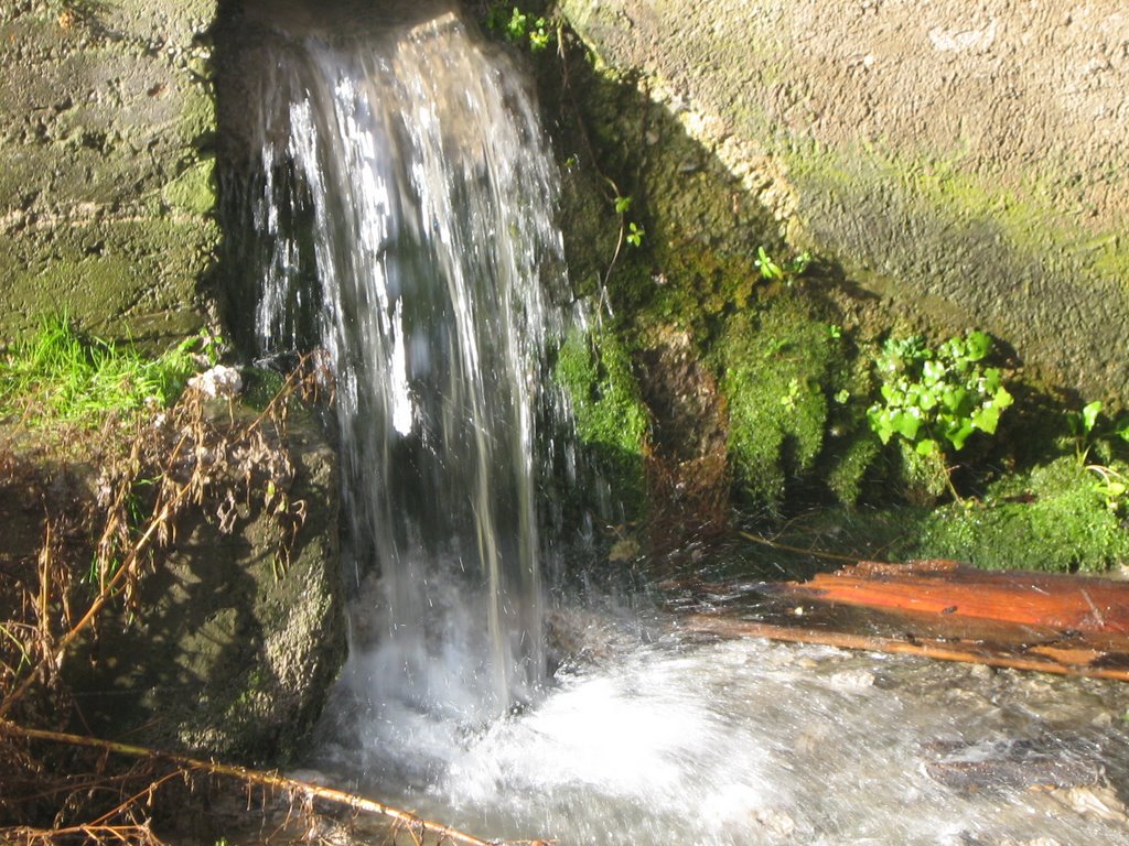 Stufe im Bach (Torrente Slizza?)