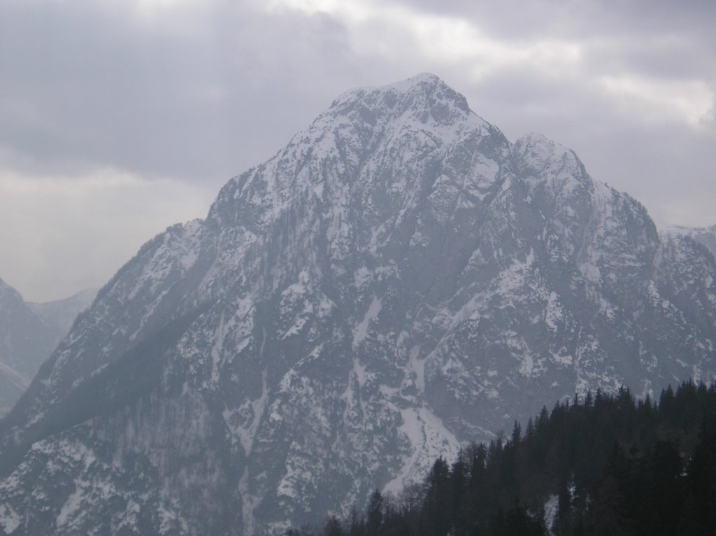gegenüber Priesnigalm / Tarvis