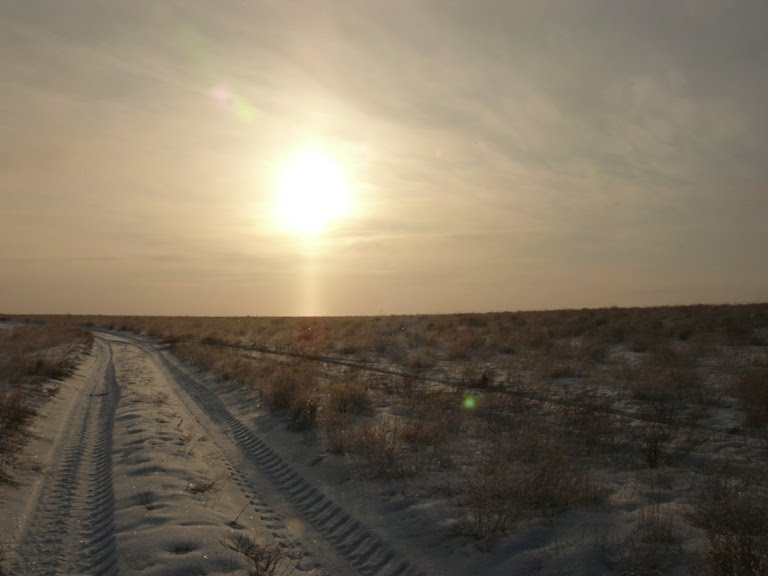 Сельская дорога