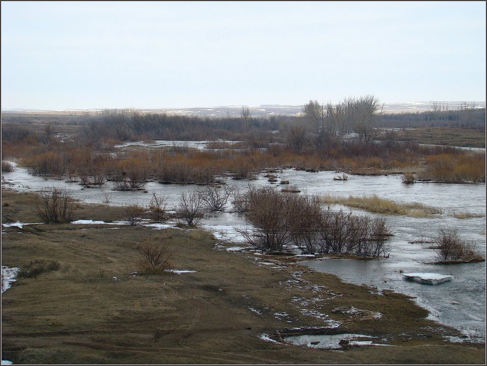 р.Кугутык (Паводок) п.Домбаровский