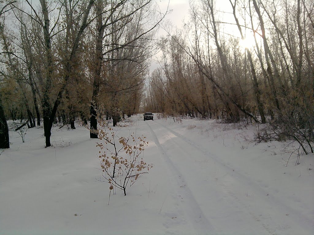 28.12.2010