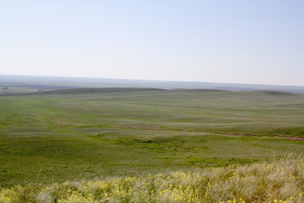 Мугоджары, май 2014