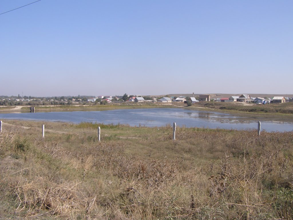 То ли озеро, то ли болото/Whether the lake, or marsh