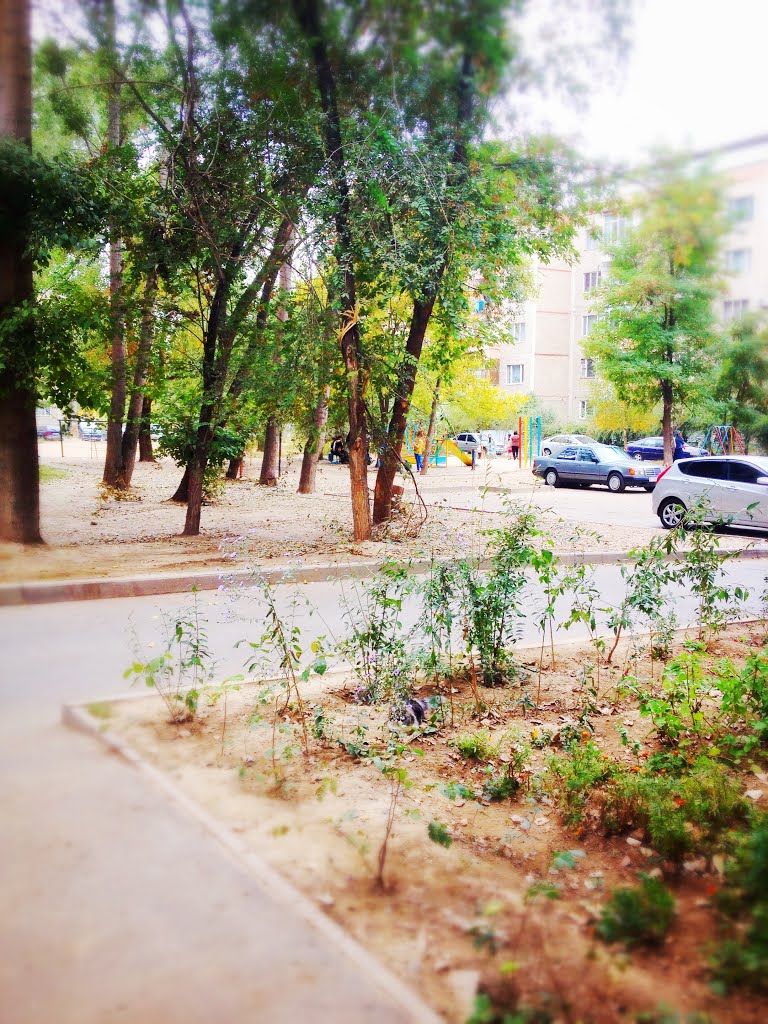 Водник1