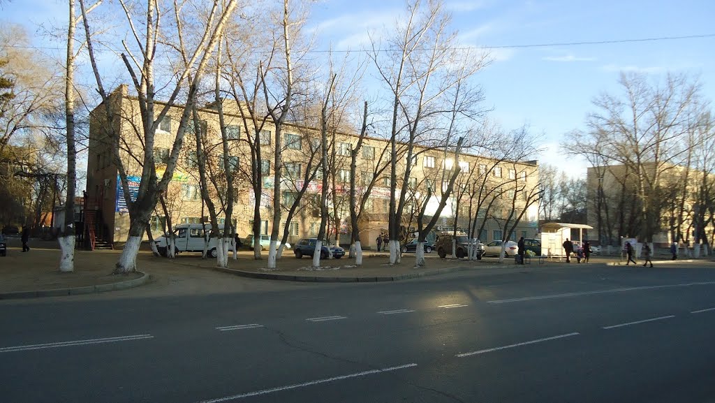 Камзина 3, оптовка