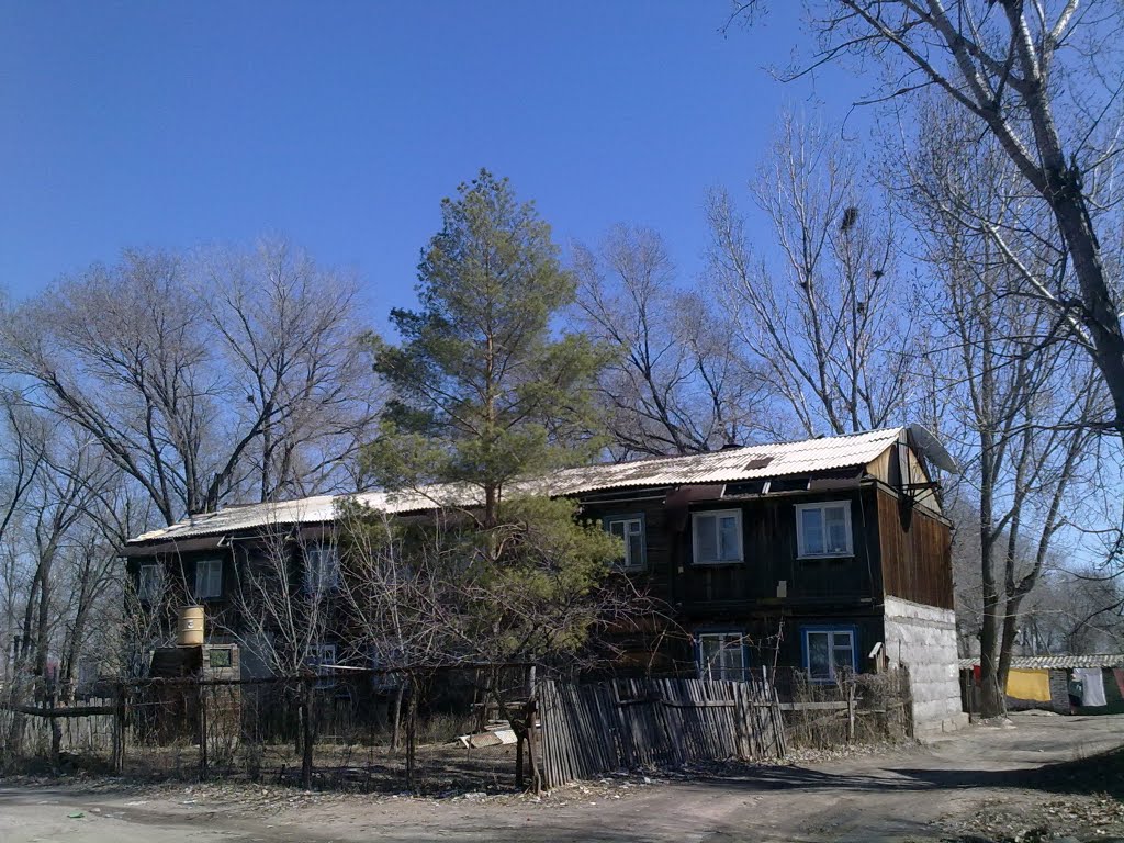 Одинокая красавица