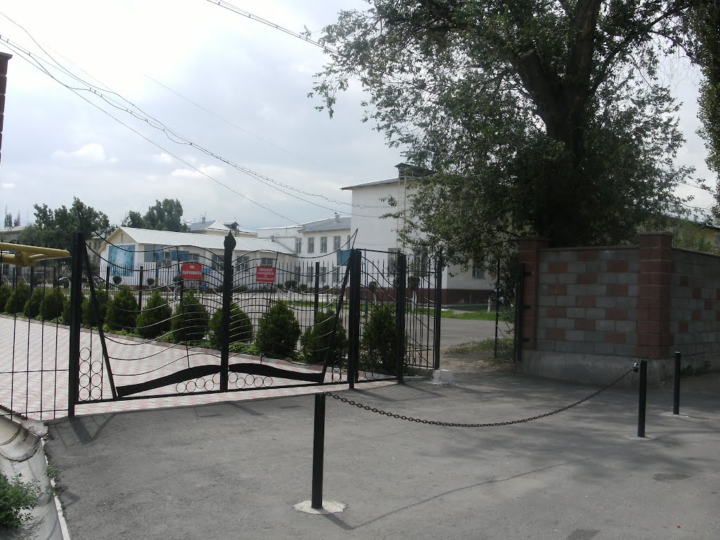 Абайская школа