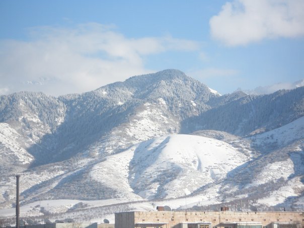 В сторону Мелиоратора