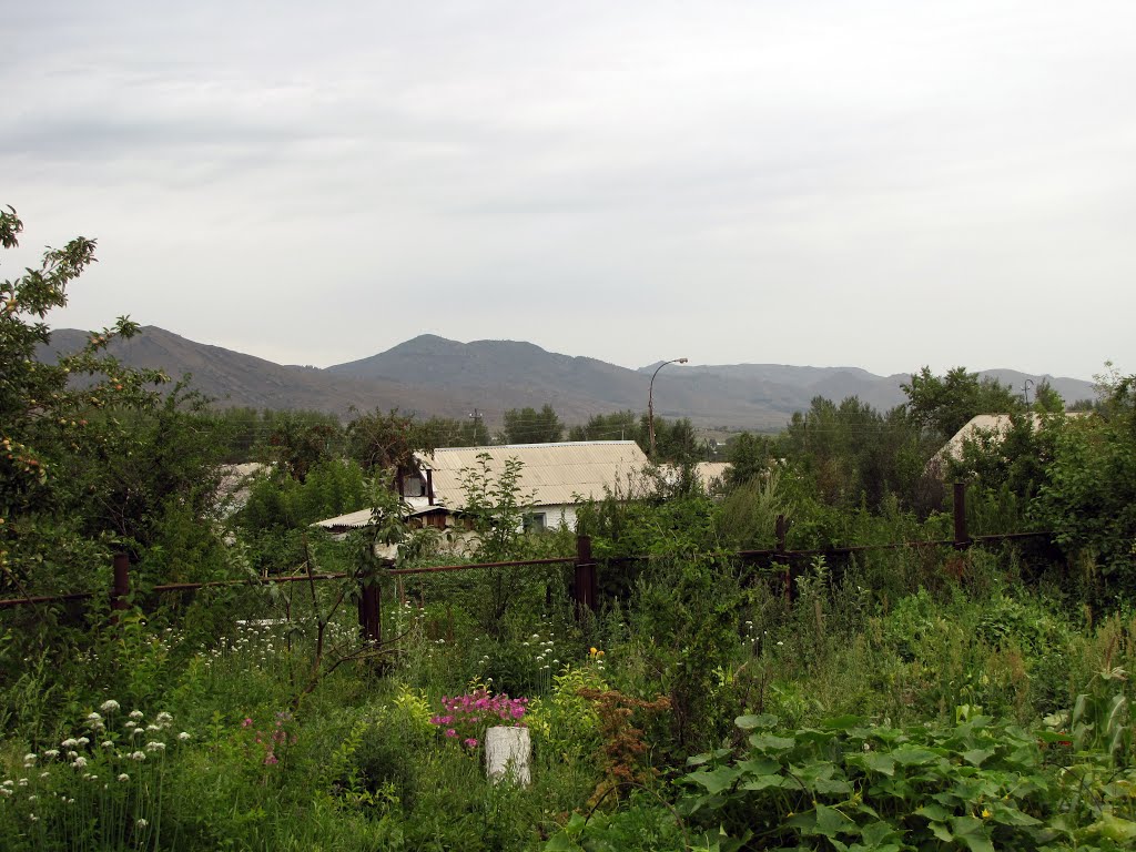 В Асубулаке