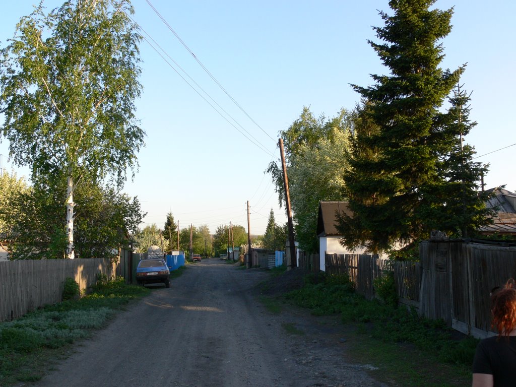 ул.Алтайская
